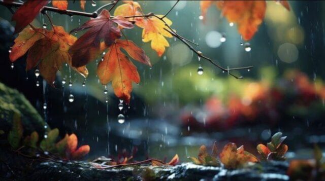 b53a17592a42e2fb536f1995094d991e