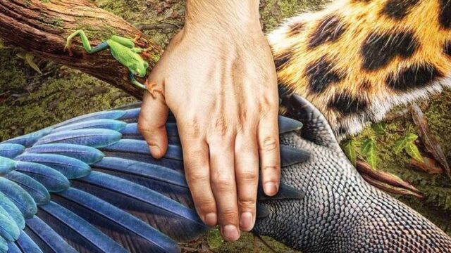 f62f42c664a2fdf450a79be729fbdd1c