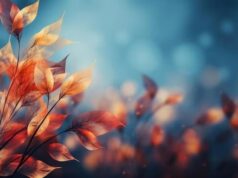 Եղանակի կանխատեսում. Նոյեմբերի 27-ից Դեկտեմբերի 2-ը