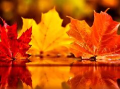 Եղանակի կանխատեսում. Առաջիկա օրեր. Նոյեմբերի 12-17-ը