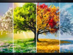 Ո՞ր եղանակն ես դու. Հոգեբանական թեստ. Ընտրիր եղանակը