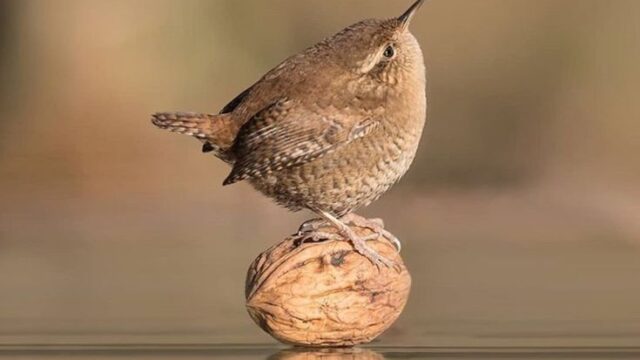 2ad905a2ec0aa6fc022073cfbd7c9cd9