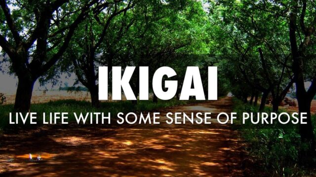 444067926fbbd2bb35787818b15d3e92